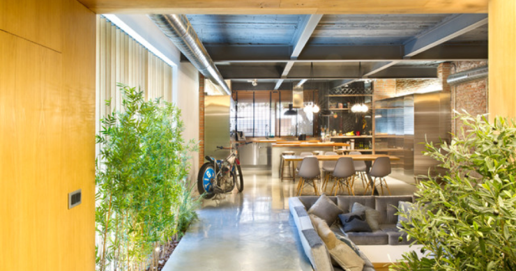 Cinco plantas limpian y purifican el aire de casa… y además sirven para decorar