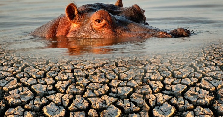 Dónde tengo que vivir para escapar de los efectos del cambio climático
