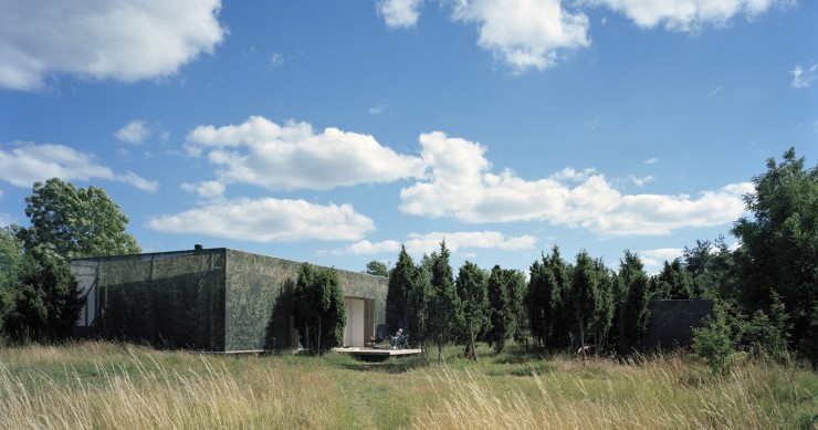 Ahora la ves, ahora no la ves: la casa camuflada por un bosque de enebros