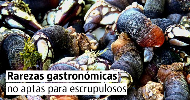 Los 5 platos españoles más curiosos y difíciles de explicar a un turista