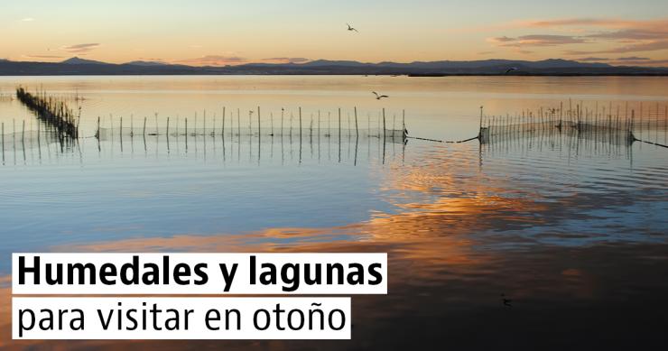 Humedales y lagunas para visitar en otoño
