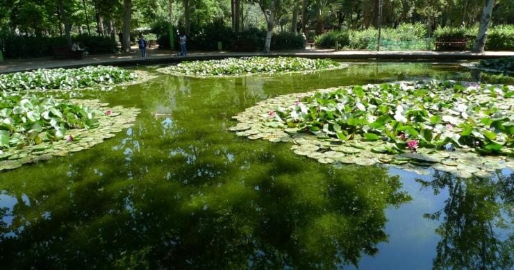 Vivir en los jardines del Turó Park, la zona más demandada por compradores de lujo en Barcelona