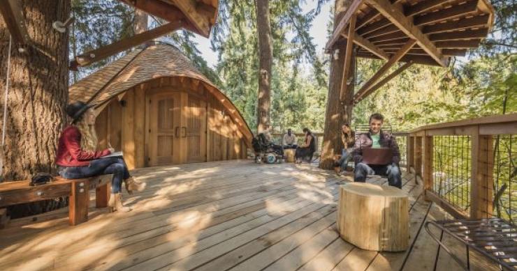 La oficina está obsoleta: Microsoft diseña casas en árboles para sus empleados