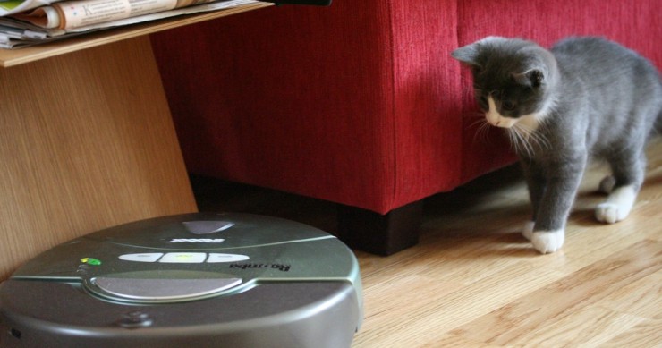 De altavoces que enloquecen a aspiradoras robóticas que la lían: las pifias más divertidas de la ‘smart home’