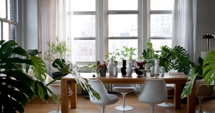 Ideas de decoración: Trucos fáciles para dar un toque divertido a tu casa