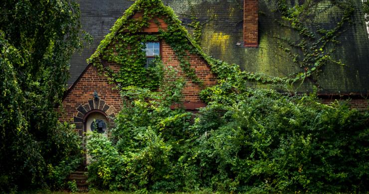 La naturaleza se ‘come’ estos lugares abandonados