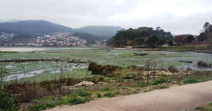 Playa Ostreira, Poio, Pontevedra / Fuente: mapama.gob.es