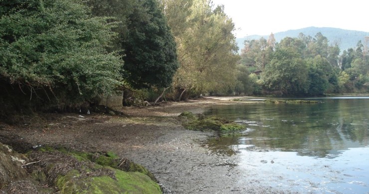 Playa Antoñito, Redondela, Pontevedra / Fuente: mapama.gob.es