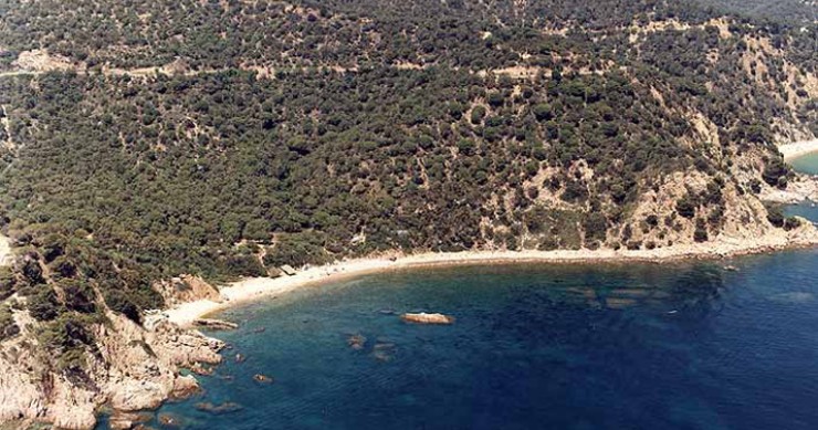 Playa Vallpresona, Santa Cristina d'Aro, Girona / Fuente: mapama.gob.es