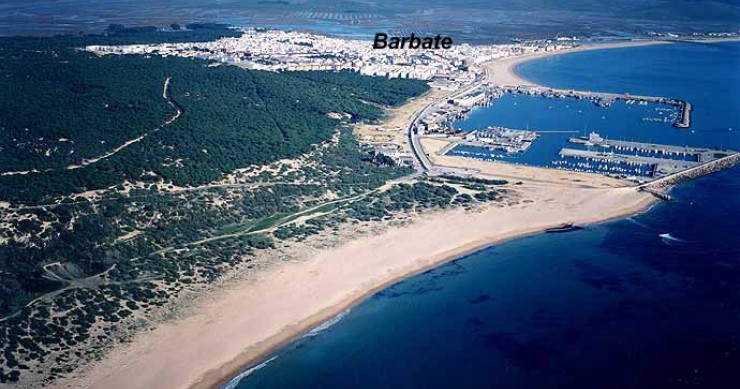 Playa Hierbabuena, Barbate, Cádiz / Fuente: mapama.gob.es