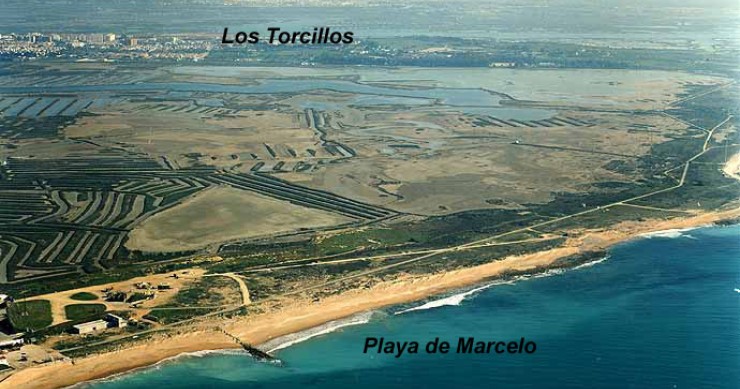 Playa La Anegada, Cádiz / Fuente: mapama.gob.es