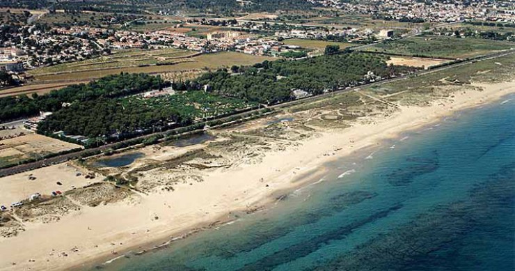 Playa El Muntanyans, Torredembarra, Tarragona / Fuente: mapama.gob.es