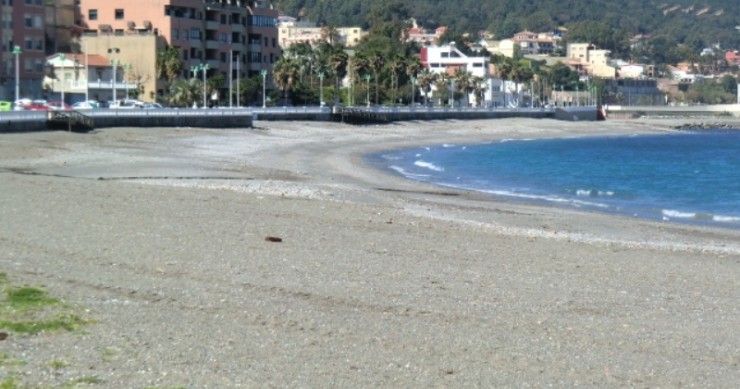 Playa Benítez (primer tramo), Ceuta / Fuente: mapama.gob.es