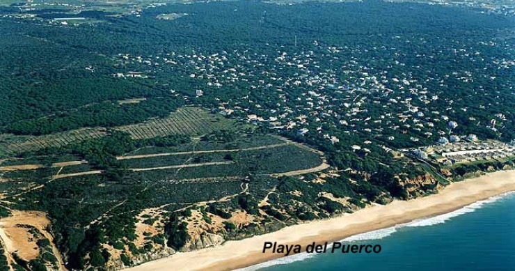 Playa El Puerco, Chiclana de la Frontera, Cádiz / Fuente: mapama.gob.es