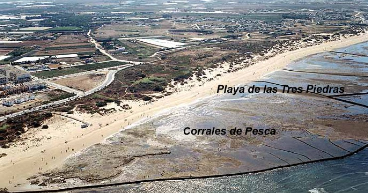 Playa Camarón, Chipiona, Cádiz / Fuente: mapama.gob.es