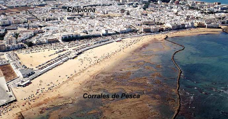 Playa Cruz del Mar, Chipiona, Cádiz / Fuente: mapama.gob.es