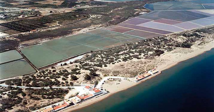 Playa El Pinet, Elche/Elx, Alicante / Fuente: mapama.gob.es
