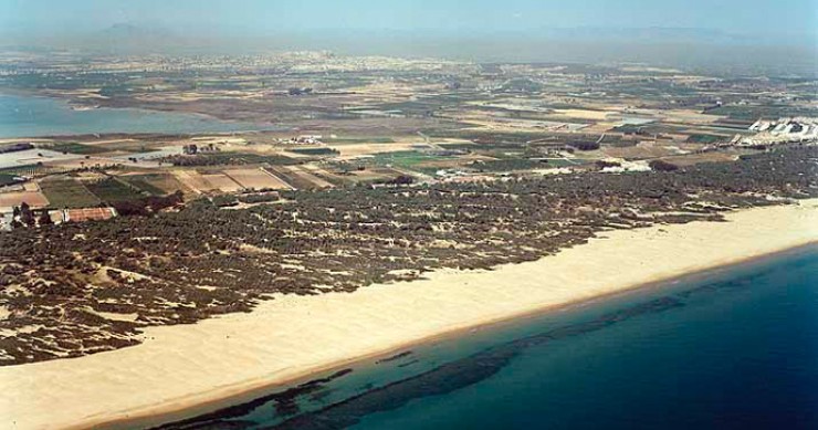 Playa Les Ortigues, Guardamar del Segura, Alicante / Fuente: mapama.gob.es
