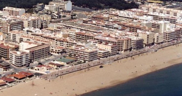 Playa Playa Centro, Guardamar del Segura, Alicante / Fuente: mapama.gob.es