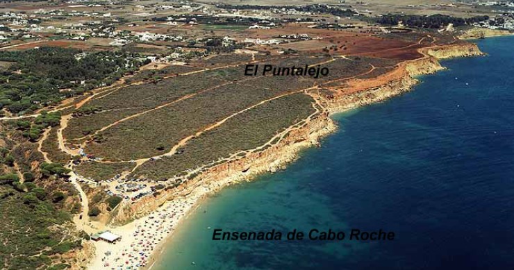 Playa Cala del Aceite, Conil de la Frontera, Cádiz / Fuente: mapama.gob.es