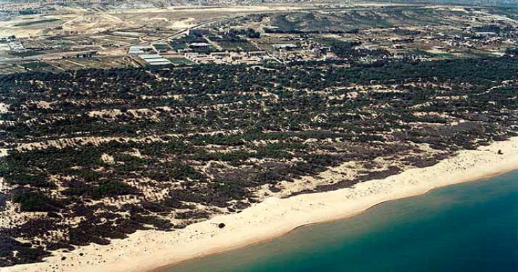Playa Los Tusales, Guardamar del Segura, Alicante / Fuente: mapama.gob.es