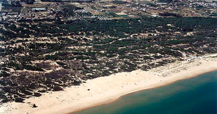 Playa El Rebollo, Elche/Elx, Alicante / Fuente: mapama.gob.es