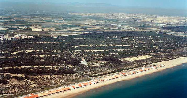 Playa Babilonia, Guardamar del Segura, Alicante / Fuente: mapama.gob.es