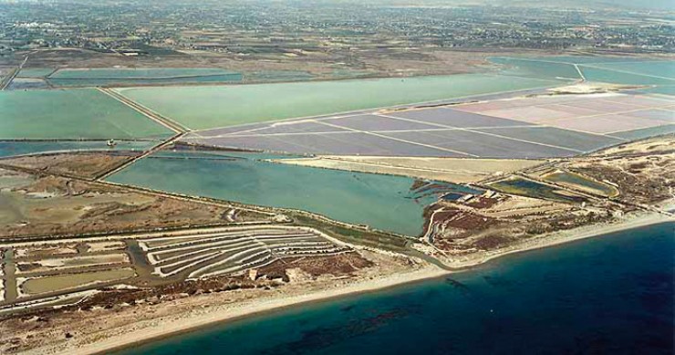 Playa La Gola, Santa Pola, Alicante / Fuente: mapama.gob.es