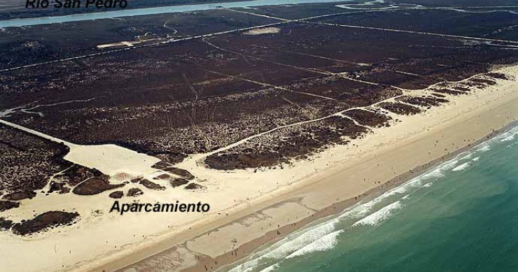 Playa Playa de Levante, El Puerto de Santa María, Cádiz / Fuente: mapama.gob.es