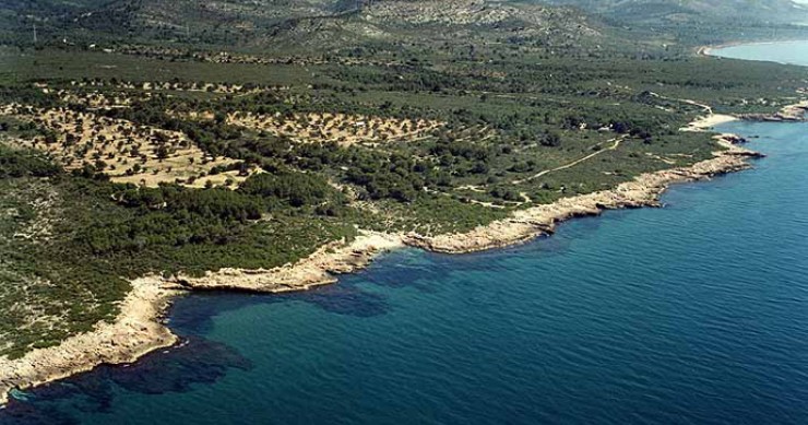 Playa Cala Argilaga, Peníscola/Peñíscola, Castellón / Fuente: mapama.gob.es