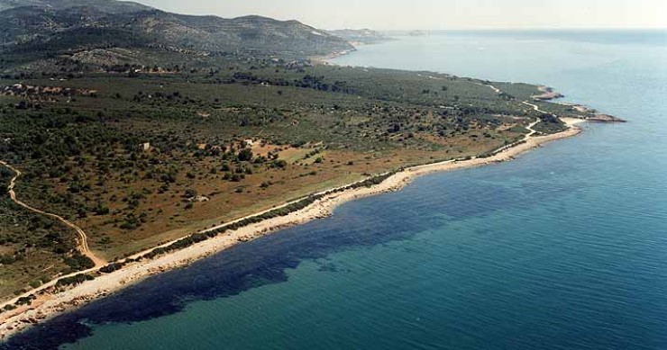 Playa Cala de las Petxinas, Peníscola/Peñíscola, Castellón / Fuente: mapama.gob.es