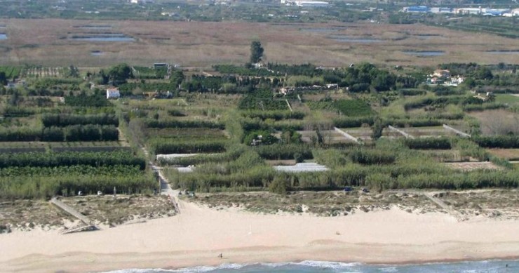 Playa L'Ahuir, Gandia, Valencia / Fuente: mapama.gob.es