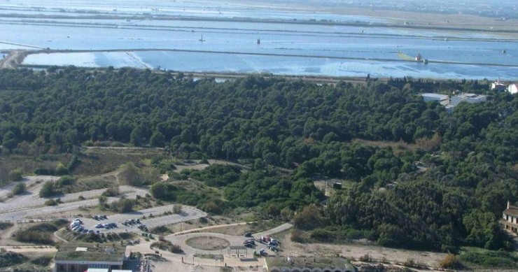 Playa El Saler, Valencia / Fuente: mapama.gob.es