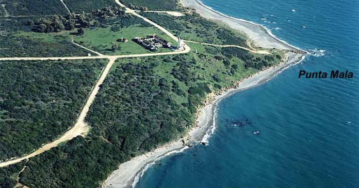 Playa Torrecarbonera, San Roque, Cádiz / Fuente: mapama.gob.es