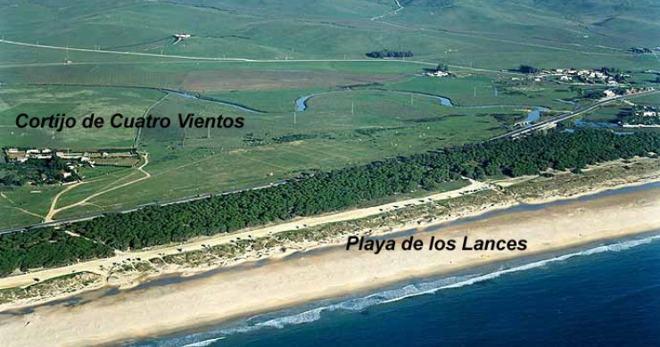 Playa Los Lances Norte, Tarifa, Cádiz / Fuente: mapama.gob.es