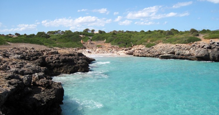 Playa Cala Rafalino, Manacor, Mallorca / Fuente: mapama.gob.es