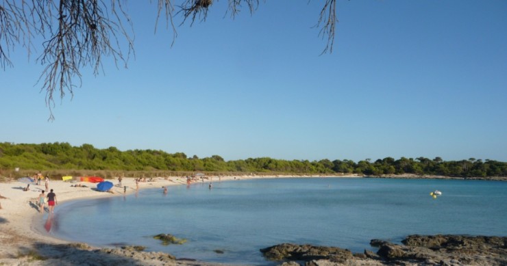 Playa Son Saura, Ciutadella de Menorca, Menorca / Fuente: mapama.gob.es