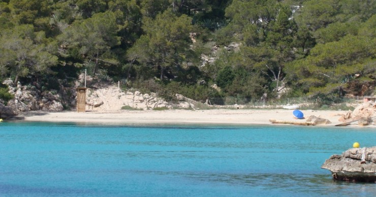 Playa Cala Saladeta, Sant Antoni de Portmany, Ibiza / Fuente: mapama.gob.es