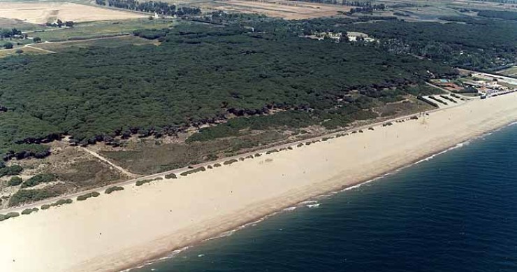 Playa Platja Equipada, El Prat de Llobregat, Barcelona / Fuente: mapama.gob.es