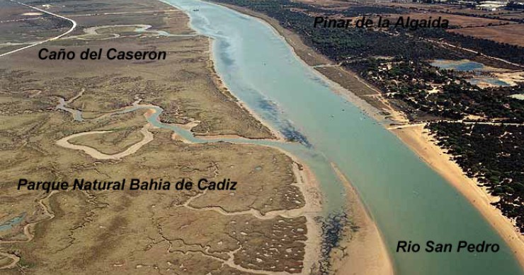 Playa El Conchal, Puerto Real, Cádiz / Fuente: mapama.gob.es