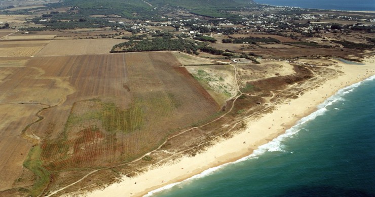 Playa Playa Mangueta, Vejer de la Frontera, Cádiz / Fuente: mapama.gob.es