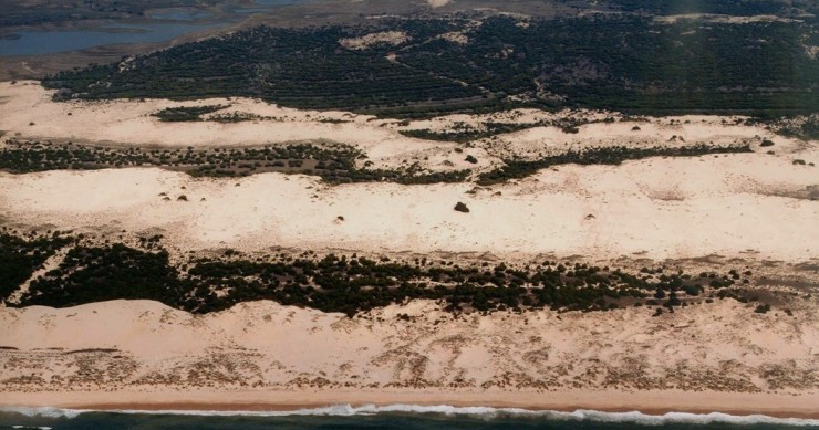 Playa Doñana, Almonte, Huelva / Fuente: mapama.gob.es