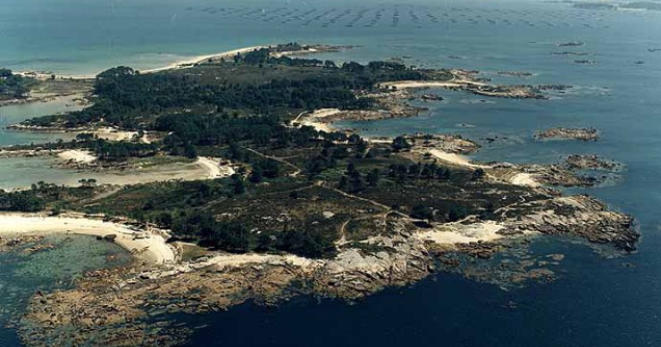 Playa Rebelló, A Illa de Arousa, Pontevedra / Fuente: mapama.gob.es