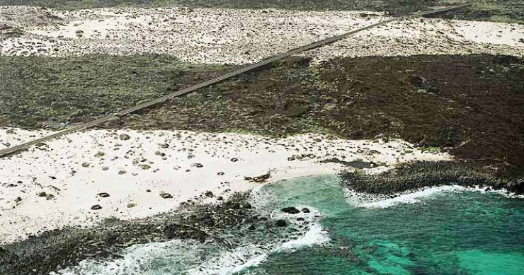 Playa Playa de Punta del Palo, Haría, Lanzarote / Fuente: mapama.gob.es