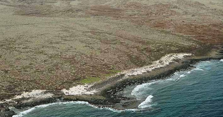 Playa Los Bonacibles, Haría, Lanzarote / Fuente: mapama.gob.es