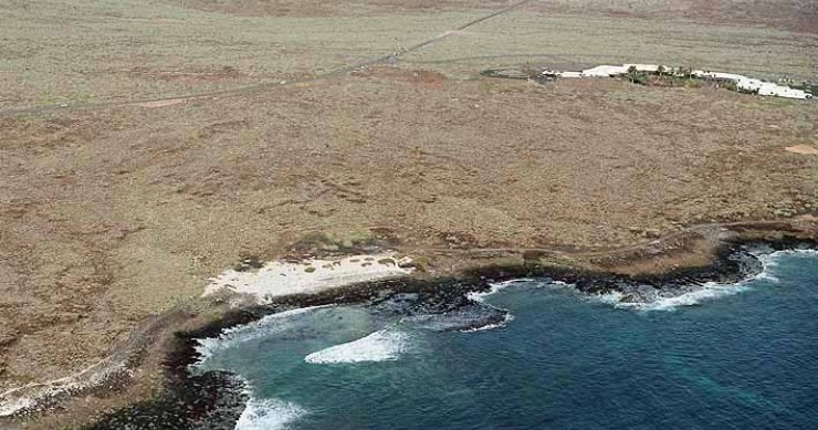Playa Baja Piquiento, Haría, Lanzarote / Fuente: mapama.gob.es