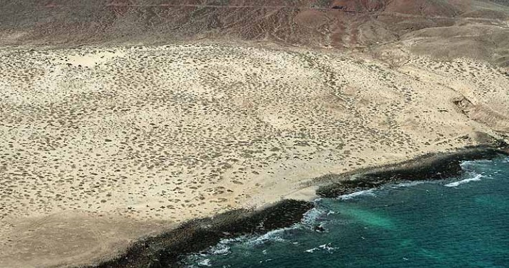 Playa Playa de los Conejos, Teguise, La Graciosa / Fuente: mapama.gob.es