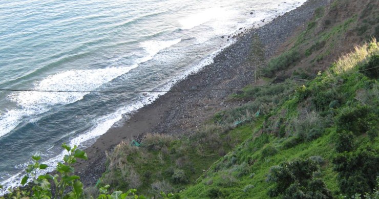 Playa Playa La Grimona, Los Realejos, Tenerife / Fuente: mapama.gob.es