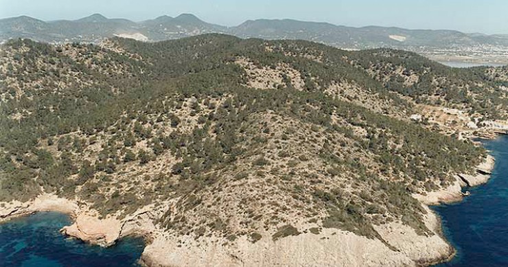 Playa Es Canal de S'Olla, Sant Josep de sa Talaia, Ibiza / Fuente: mapama.gob.es