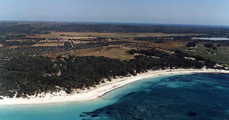 Playa Es Carbó, Ses Salines, Mallorca / Fuente: mapama.gob.es